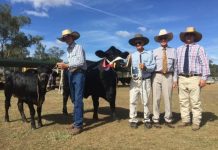 Eidsvold Show a-go