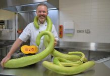 Regional flavours to shine at festival