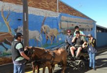 Inclusive carriage ride brings joy