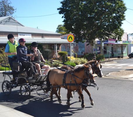 Inclusive carriage ride brings joy | Burnett Today