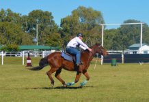 Horsin’ around Nanango