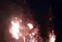 Alarmed residents capture tree fire