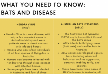 Rally to remove bats