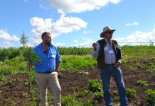 Hemp success is the Burnett