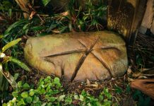 Healing journey back to Country