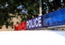 Woman killed after fiery car collision with tree in Kilkivan