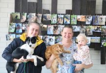 Here to care for your furry friend