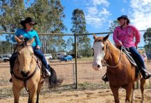 Celebrating thoroughbreds