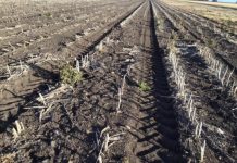 Moving along with rate creep