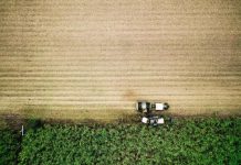 Visa answers seasonal labour shortage