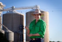 EXPLAINED: Pete Hills’ sudden disappearance from our TVs