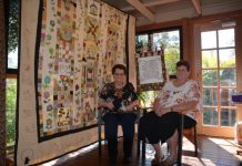 Weaving through the trail