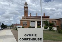 Woman allegedly stabs man in leg