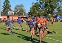 Action aplenty on the field