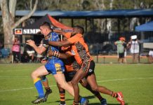 EDITOR’S DESK: Why I was rooting for the Hornets