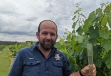 New leader unites wine industry