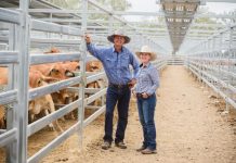 Saleyards to farewell Whitaker’s