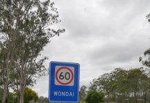 Survive the drive this disaster season