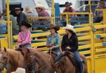 Burnett’s guide to NYE