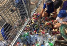 Mundubbera’s changemakers