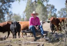 Challenging the narrow minded, the outdated, and the misinformed