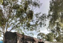 My time with Burnett Today