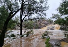 MORE RAIN: Flood rescues, warnings, dam levels