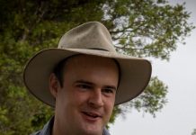 Callide candidates roll in