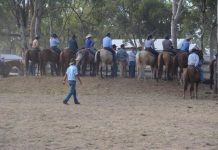 Man charged after campdraft assault