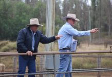 Leading agents in region