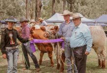 Red Dots a Grand Champ