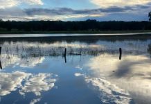 Burnett flooding, round 2 for 2022