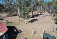 Come give archery a shot