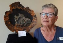 Celebrating a decade of local art