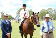 Show’s a who’s who