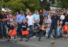 Pumpkin fest not rolling ahead