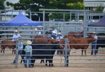 PHOTOS: Goomeri showing how it’s done