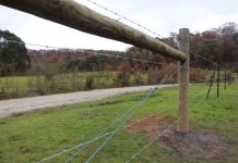 Bye Biggenden BlazeAid