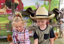 GALLERY: Gayndah Show a surefire hit