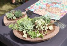 Green thumbs galore at garden expo