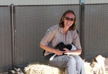 Biggenden’s Show will go on