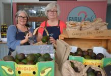 An abundance of avos