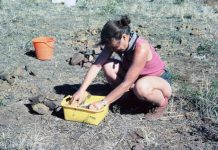 Wandoan find set to make history