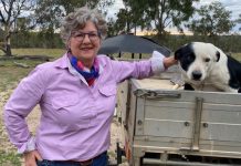 Celebrating an abundance of glorious food