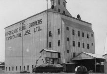 Peanut silos an icon