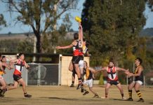 GALLERY: Saints celebrate a decade