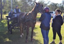Harness to help launch para-driving