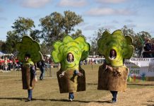 Return to form for Jandowae festival