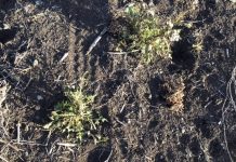 A chemical breakthrough