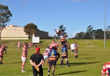 Tough weekend for Thrashers